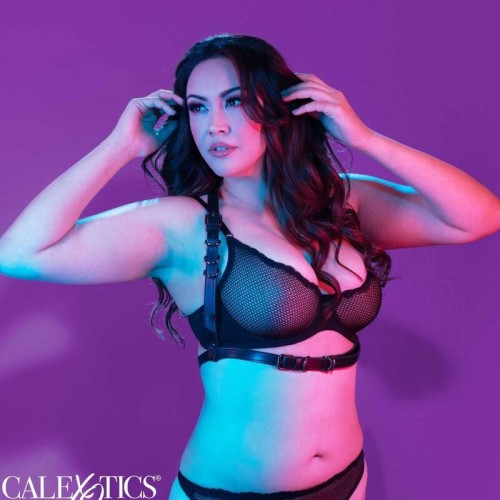 CALIFORNIA EXOTICS - EUPHORIA PLUS SIZE HALTER BUCKLE HARNESS SCHWARZ